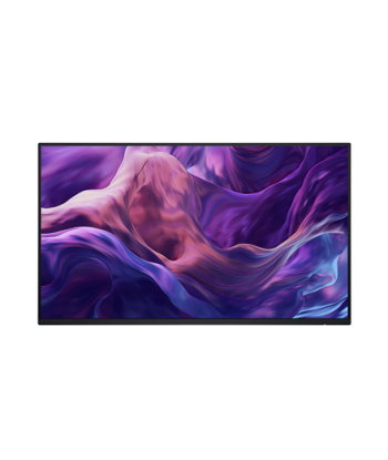 Dell P2425H 24" FHD IPS Monitor