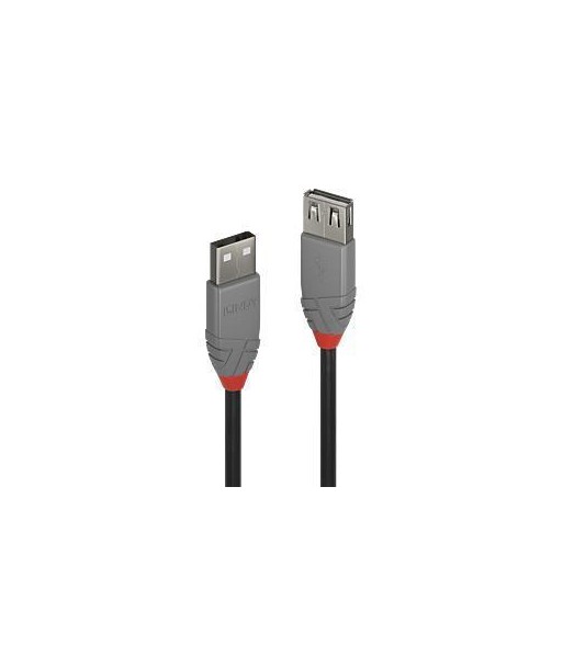CABLE USB2 TYPE A 1M/ANTHRA 36702 LINDY