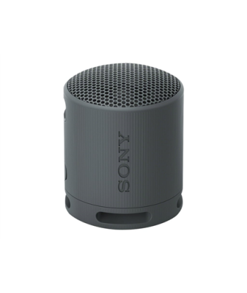 Колонка Sony SRS-XB100 Portable Wireless, Black