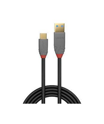 CABLE USB2 C-A 3M/ANTHRA 36888 LINDY