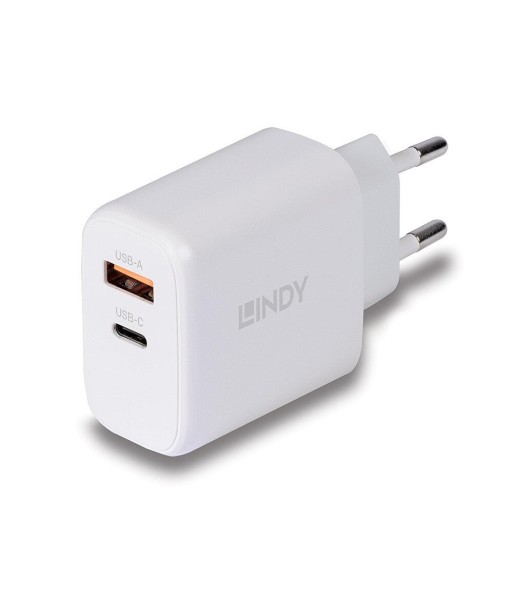 Lindy 65W USB-C PD Laadija - Toiteedastus sülearvutitele, tahvelarvutitele ja nutitelefonidele Lindy 65W USB-C PD Laadija - Toiteedastus sülearvutitele, tahvelarvutitele ja nutitelefonidele
