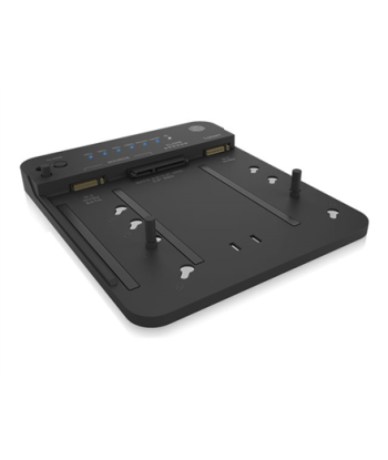 Icy Box IB-2913MCL-C31 2bay Docking and Clone station for 2x M.2 NVMe SSD