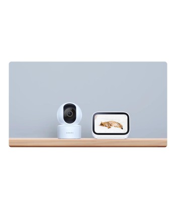 Xiaomi Умная камера C200 Dome 2MP H.265 MicroSD 256GB Белый