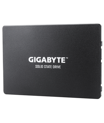 Gigabyte GP-GSTFS31256GTND 256GB SATA SSD