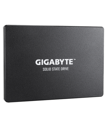 Gigabyte GP-GSTFS31256GTND 256GB SATA SSD