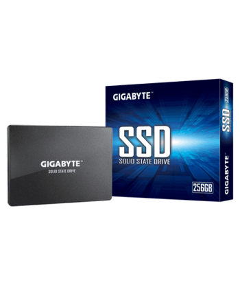 Gigabyte GP-GSTFS31256GTND 256GB SATA SSD