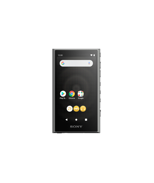 Sony NW-A306 Walkman A Series Portable Audio Player 32GB, Black Sony NW-A306 Walkman A Series Portable Audio Player 32GB, Black