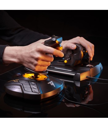 Thrustmaster T.16000M FCS Flight Pack