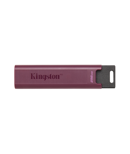 Kingston USB 3.2 Flash Drive DataTraveler MAX 256 GB, USB 3.2