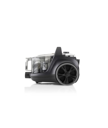 Tolmuimeja ETA, Grande Animal ETA222390000, Bagless, Power 850 W, Dust capacity 3.2 L, Black/Gold