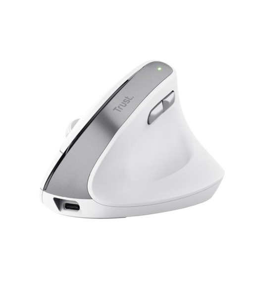 BAYO II/ERGO WHT 25398 TRUST