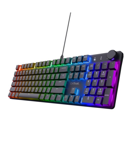 KEYBOARD USB GXT866 TORIX/EN 24910 TRUST KEYBOARD USB GXT866 TORIX/EN 24910 TRUST