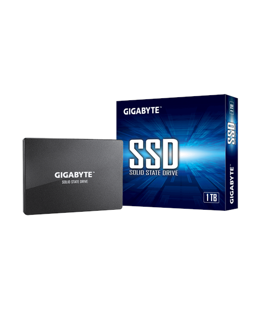 Gigabyte 1TB 2.5" SATA SSD (GP-GSTFS31100TNTD) Gigabyte 1TB 2.5" SATA SSD (GP-GSTFS31100TNTD)