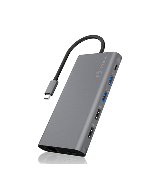 Raidsonic 12-in-1 USB Type-C dock with PD 100W BOX IB-DK4050-CPD 2xUSB 3.0 Type-A, 2xUSB 2.0 Type-A, 1xUSB 3.0 Type-C, 1xLAN