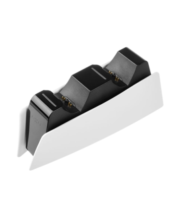 Fixed Dual Charger Stand for PS5 Controller