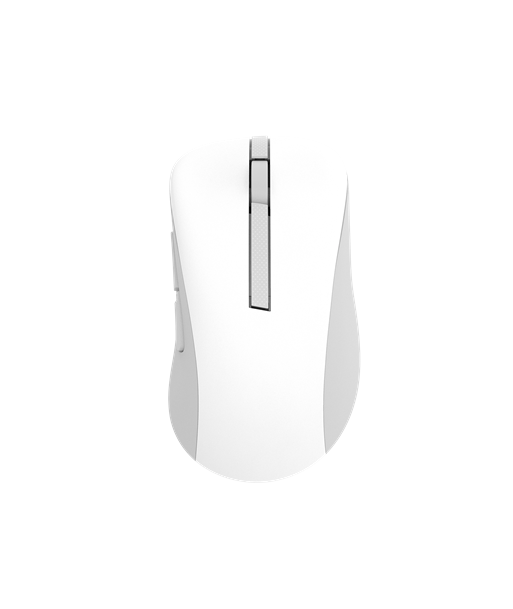 Asus MD102 Wireless Mouse - 2.4GHz, Bluetooth, White