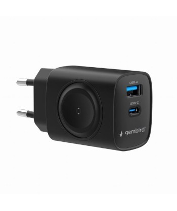 CHARGER USB 2IN1 20W 2PORT/TA-UC-PDQCW20-01-BK GEMBIRD