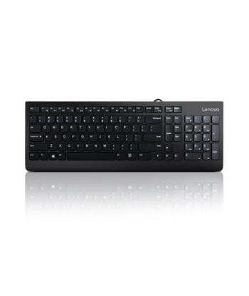 Lenovo 300 Standard Wired USB Keyboard - Black