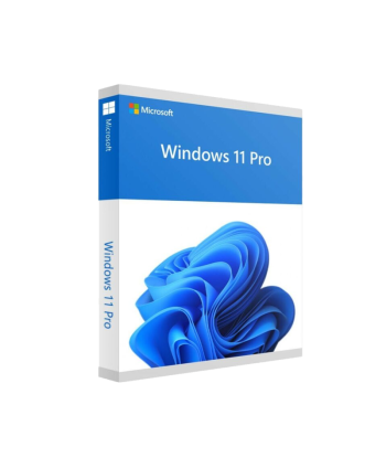MS Windows 11 Pro 64-Bit 1PK FR