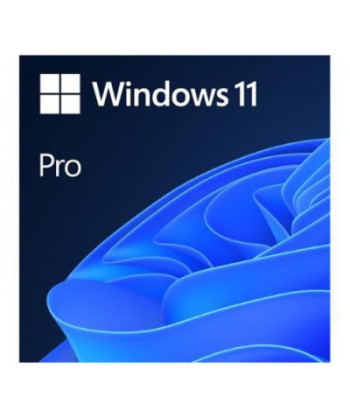 MS Windows 11 Pro 64-Bit 1PK NL
