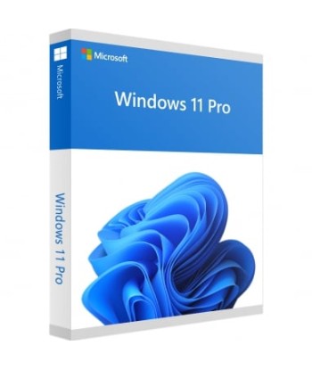 MS Windows 11 Pro 64-Bit 1PK DE