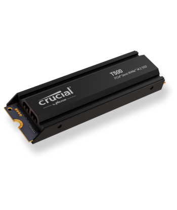 Crucial SSD T500 1TB PCie 4.0  NVMe w/Heatsink