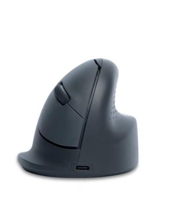 Juhtmevaba hiir BASIC/R. GREY RGOHEBAMRWL R-GO TOOLS