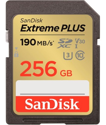 MEMORY SDXC 256GB UHS-1/SDSDXWV-256G-GNCIN SANDISK