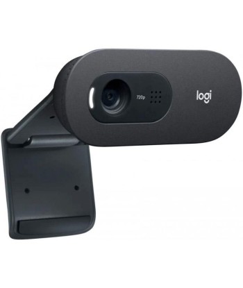 Logitech C505e Webcam HD Black