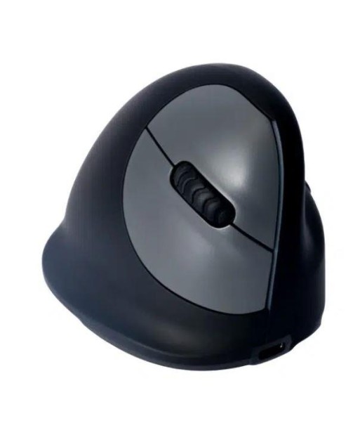 MOUSE USB OPTICAL BREAK/BLACK RGOHBRSWLBL R-GO TOOLS