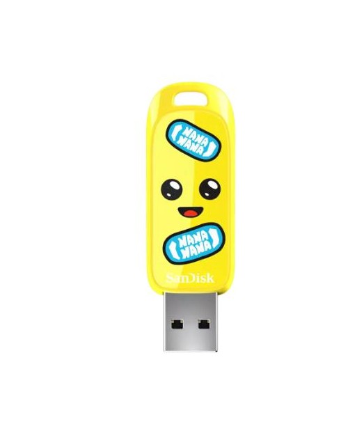 Mälupulk USB3.2/256GB SDCZIF-256G-G46 SANDISK