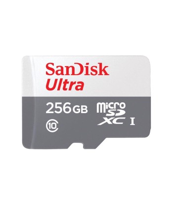 MEMORY MICRO SDXC 256GB UHS-I/SDSQUNR-256G-GN3MN SANDISK