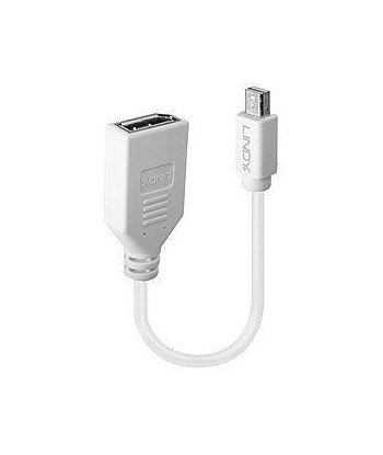 ADAPTER MINI DP TO DP/0.2M 41021 LINDY