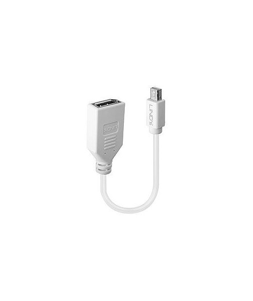 ADAPTER MINI DP TO DP/0.2M 41021 LINDY