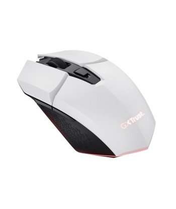 Juhtmevaba hiir WHITE/GXT110W FELOX 25069 TRUST