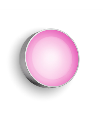 Philips Hue WCA Daylo Outdoor Wall Lantern, Inox | 15 W | 2000-6500 Hue White Colour Ambiance