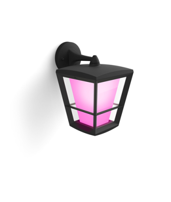 Philips Hue WCA Econic Outdoor Wall Lantern | 15 W | 2000-6500 Hue White Colour Ambiance
