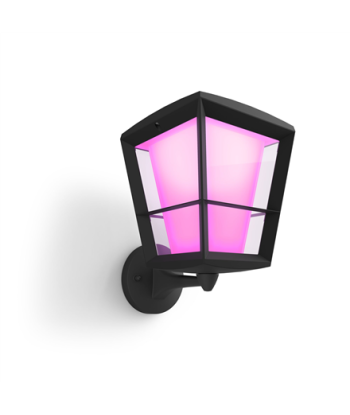 Philips Hue WCA Econic Outdoor Wall Lantern Up | 15 W | 2000-6500 Hue White Colour Ambiance