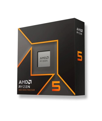 AMD Ryzen 5 9600 Tray