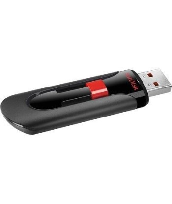 Mälupulk USB2 256GB/SDCZ60-256G-B35 SANDISK