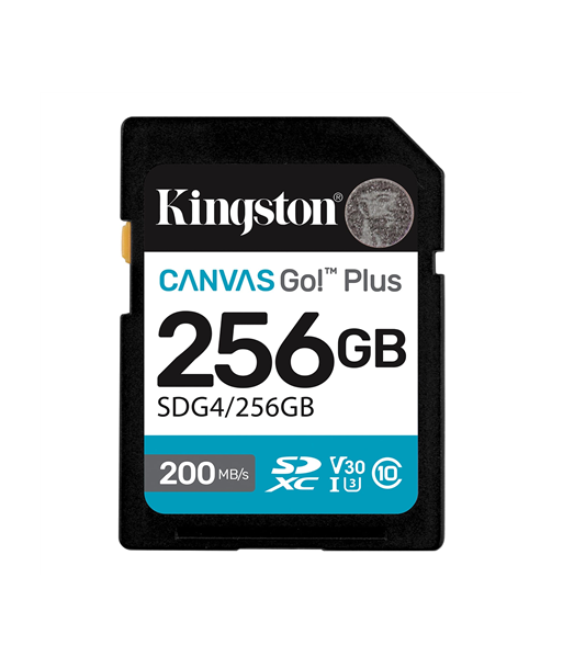 KINGSTON 256GB UHS-I SD Memory Card (Class 10, U3, V30)