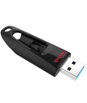 Mälupulk USB3 256GB/SDCZ48-256G-U46 SANDISK