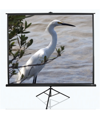 Elite Screens Tripod Series T100UWV1 Diagonal 100 ", 4:3, Viewable screen width (W) 203 cm, Black