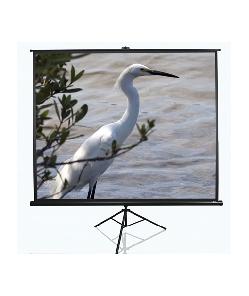 Elite Screens Tripod Series T100UWV1 Diagonal 100", 4:3, Viewable screen width (W) 203 cm, Black