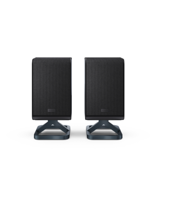 Sharp, 2.0.2 Wireless Rear Surround Speakers, HT-SPR52021(BK), 200 W, Black, Wireless connection