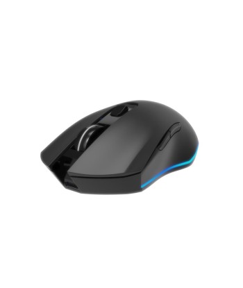 MOUSE USB OPTICAL WRL GAMING/FIREBOLT MUSGW-6BL-02 GEMBIRD