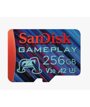 MEMORY MICRO SDXC 256GB UHS-I/SDSQXAV-256G-GN6XN SANDISK