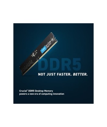 Crucial DDR5-5600  32GB