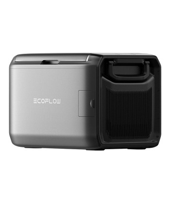 EcoFlow Glacier Classic kaasaskantav külmik 55L (5022001013)
