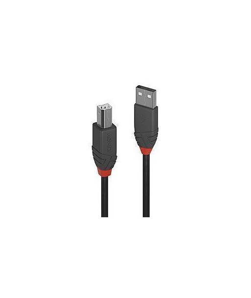 CABLE USB2 A-B 2M/ANTHRA 36673 LINDY